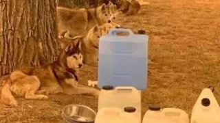 花了11亿美元,Google到底在买什么?:beat365(图2) beat365官网中文